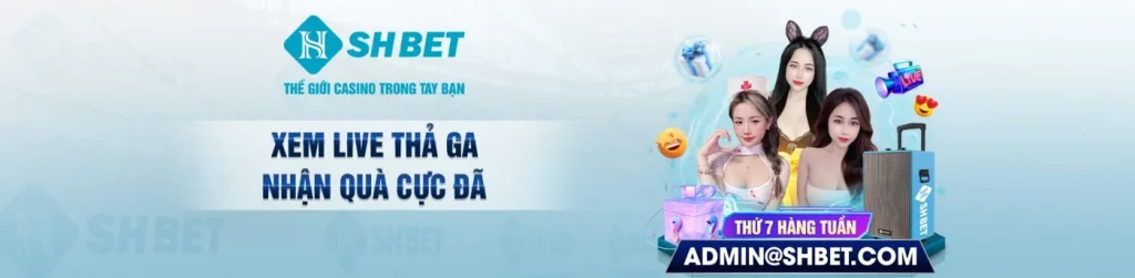 shbet50- banner
